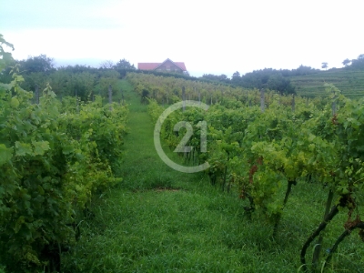 Predaj - stavebný pozemok v Modre - Harmónii, okres Pezinok, 1405 m2
